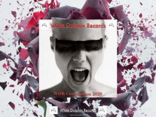 WDR compilation banner.001 copia